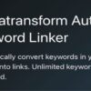 Lançada a nova versão do Eatransform Auto Keyword Linker